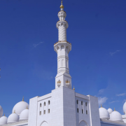 借助德国住宅IP代理,实现在德国本地开展海外业务