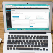 如何判断获取到的英国IP代理节点是否干净?