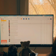 如何利用欧美住宅IP地址提高Temu店铺权重