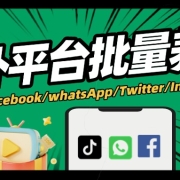 海外平台批量养号解决方案,轻松实现流量增长