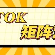如何通过TikTok矩阵营销来提高流量和品牌曝光