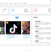 在TK云大师配置IPdodo静态IP教程