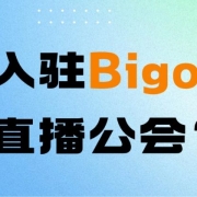 如何入驻Bigo Live海外直播公会?申请条件、流程及收益分享