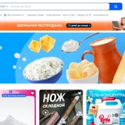 2025中国卖家Ozon入驻开店全指南:抢占俄罗斯电商市场