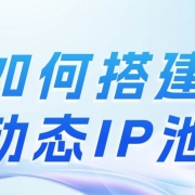 手把手教你搭建动态IP池,从此告别IP被封烦恼!